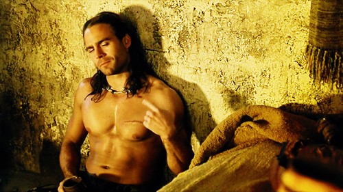 Spartacus: Gods Of The Arena Fotoğrafı