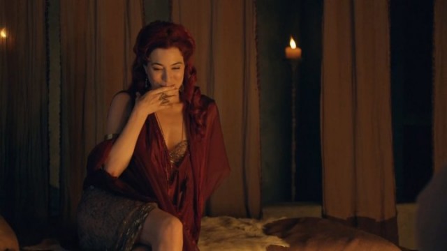 Spartacus: Gods Of The Arena Fotoğrafı