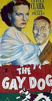The Gay Dog (1954) afişi