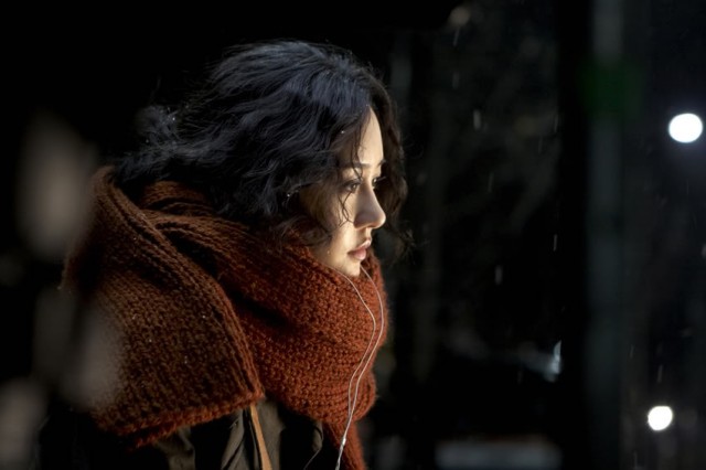 Tavşan Ve Kertenkele Fotoğrafı