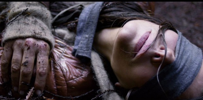 Sandra Bullock Filmi Bird Box'tan Türkçe Altyazılı Yeni Bir Fragman Geldi