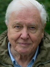 David Attenborough fotoğrafı