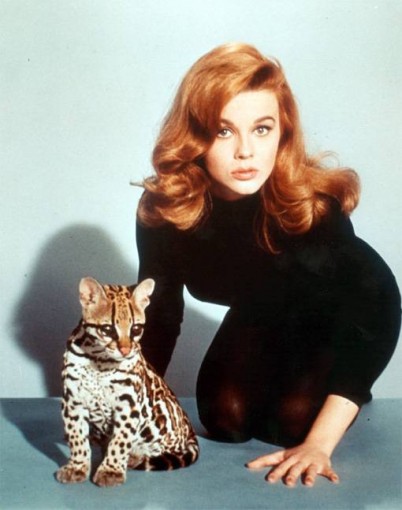Ann-Margret Fotoğrafı