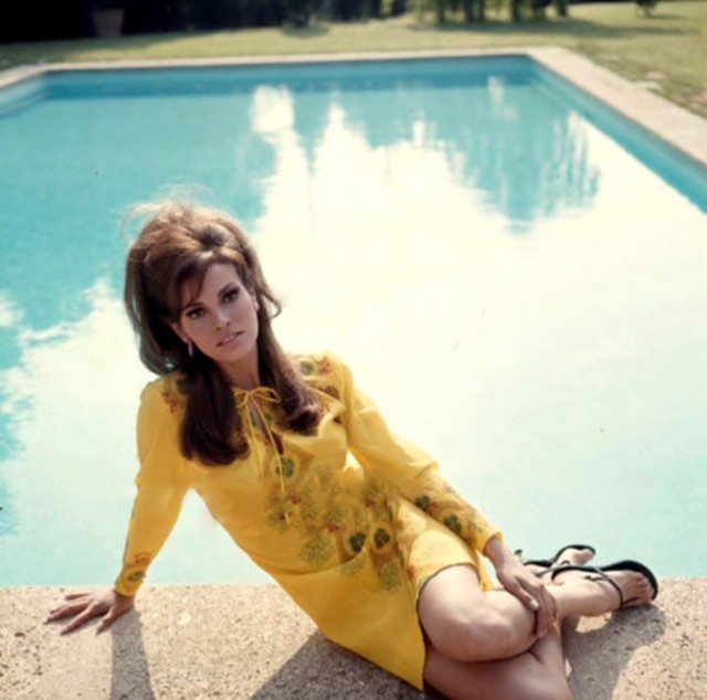 Raquel Welch Fotoğrafı