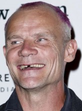 Flea fotoğrafı