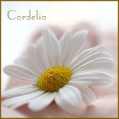 Taylor Swift Fotoğrafı