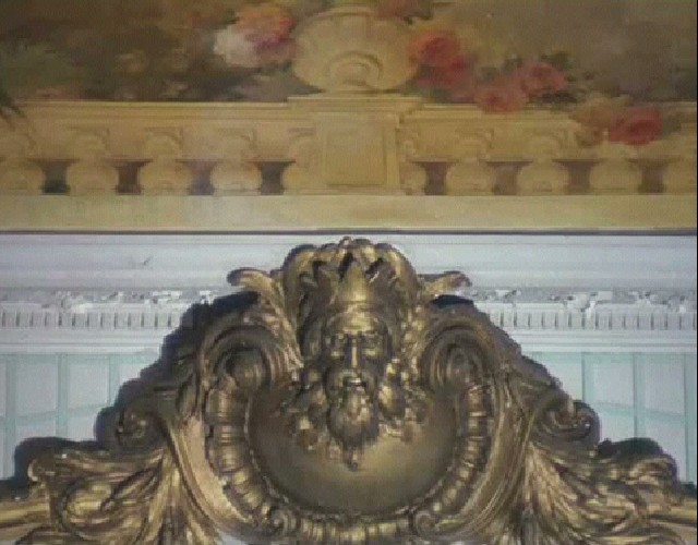 Otomatik Portakal Fotoğrafı