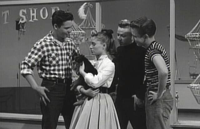 The Mickey Mouse Club (the 1950s Series) Fotoğrafı