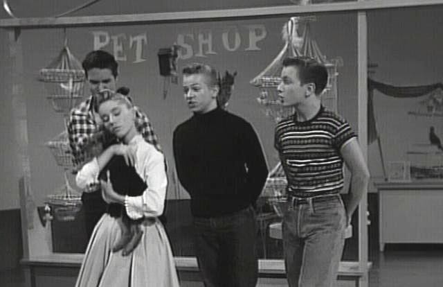 The Mickey Mouse Club (the 1950s Series) Fotoğrafı
