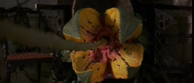Jumanji Fotoğrafı