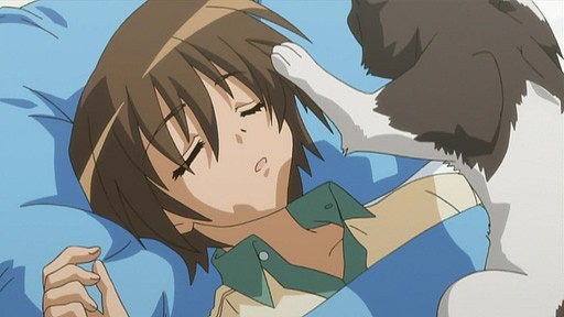 Omamori Himari Fotoğrafı