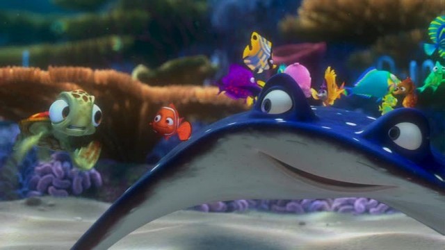 Kayıp Balık Nemo Fotoğrafı