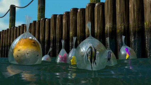 Kayıp Balık Nemo Fotoğrafı