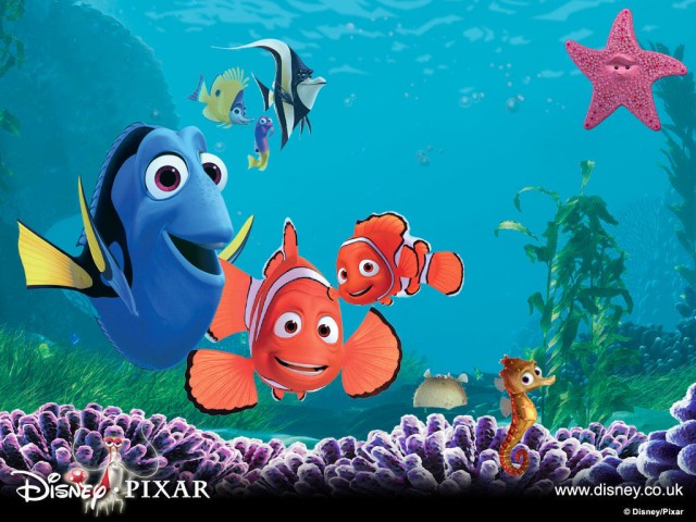Kayıp Balık Nemo Fotoğrafı