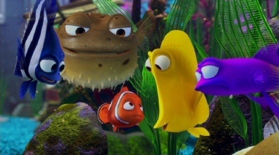 Kayıp Balık Nemo Fotoğrafları 77