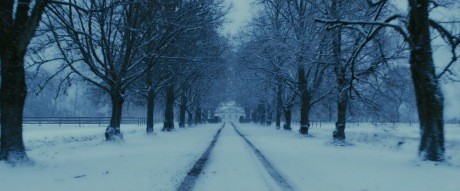 Ejderha Dövmeli Kız Fotoğrafı