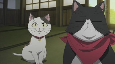 Kedi Sevgisi Fotoğrafı