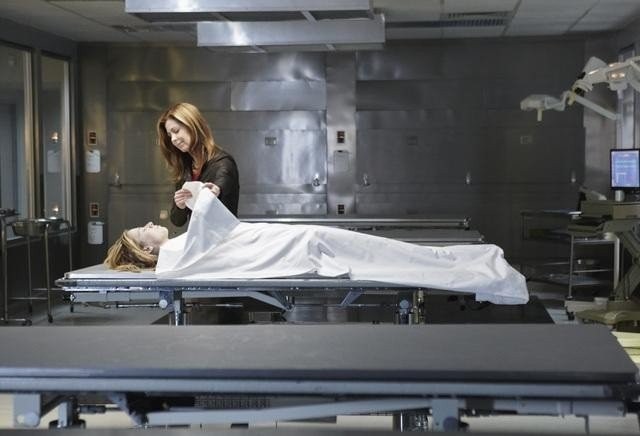Body Of Proof Fotoğrafı