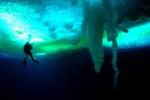 Dünya'nın Sonundaki Karşılaşmalar Fotoğrafları 1