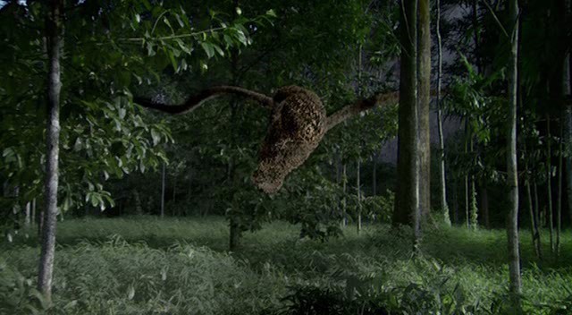 The Hive Fotoğrafı