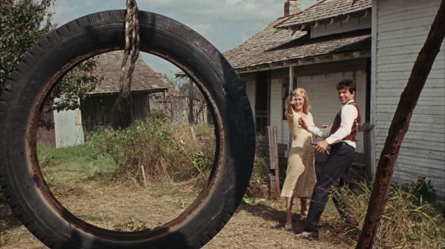 Bonnie ve Clyde Fotoğrafı