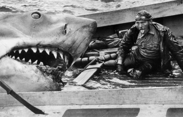 Jaws Fotoğrafları 21