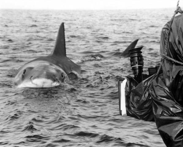 Jaws Fotoğrafı