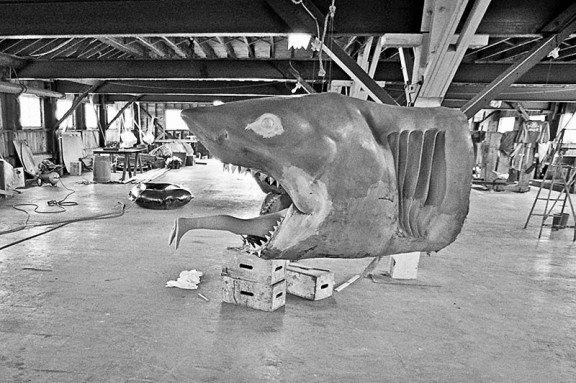 Jaws Fotoğrafı