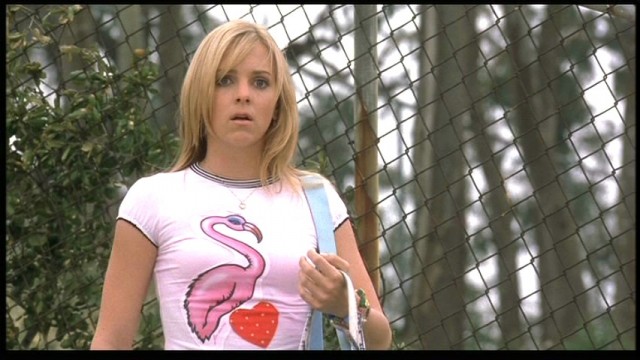 Ateşli Piliç Fotoğrafı