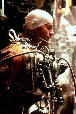 12 Maymun Fotoğrafı