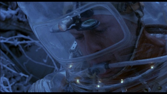 12 Maymun Fotoğrafı