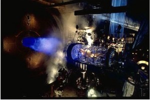 12 Maymun Fotoğrafı