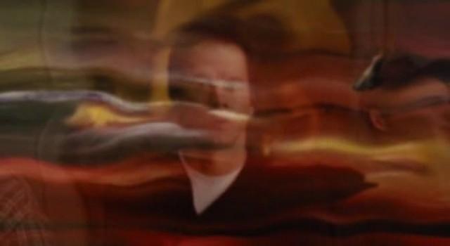 Ayı Teddy Fotoğrafı