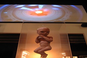 2001: Uzay Macerası Fotoğrafı