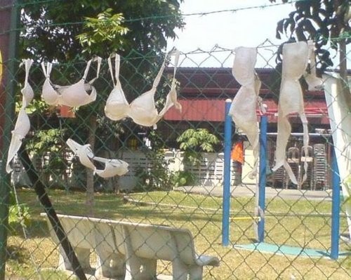 The Bra Thief Fotoğrafı