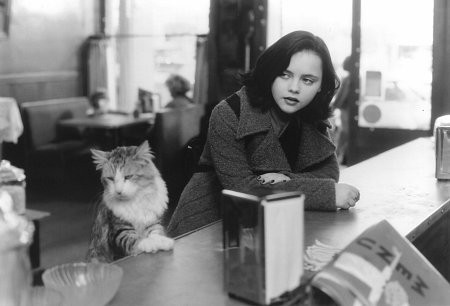 Şu Lanet Kedi fotoğrafı