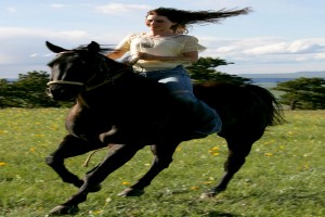 My Friend Flicka Fotoğrafı