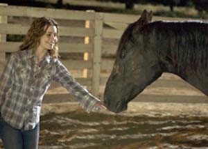 My Friend Flicka Fotoğrafı