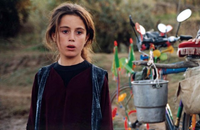 Kaplumbağalar da Uçar Fotoğrafı