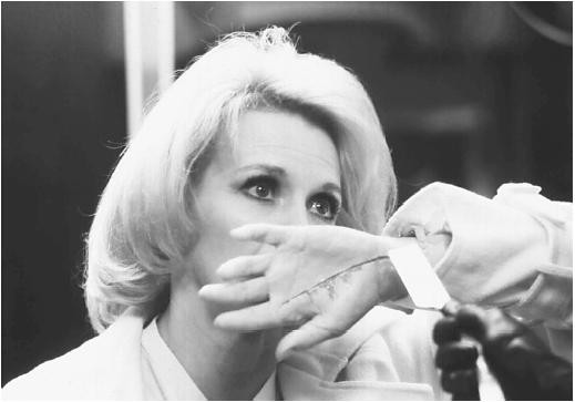 Papavero E Anche Un Fiore fotoğrafı Papavero E Anche Un Fiore fotoğrafı