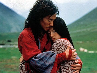 Kaplan ve Ejderha Fotoğrafı