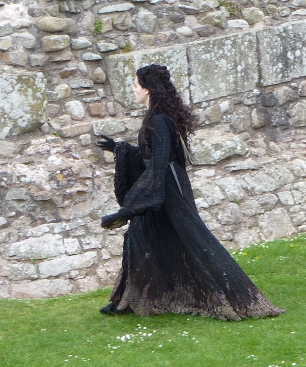 Merlin Fotoğrafı