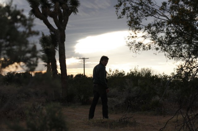 Joshua Tree Fotoğrafları 2