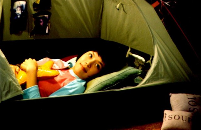 Daddy-long-legs Fotoğrafı