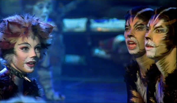 Cats Fotoğrafı