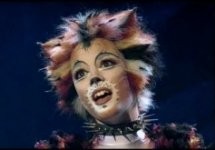 Cats Fotoğrafı