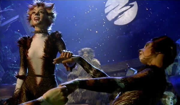 Cats Fotoğrafı