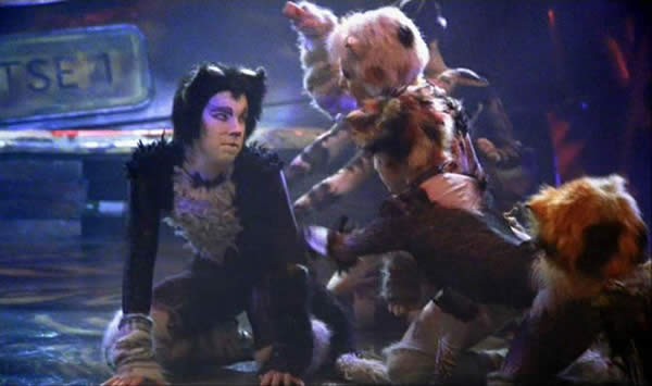 Cats Fotoğrafı