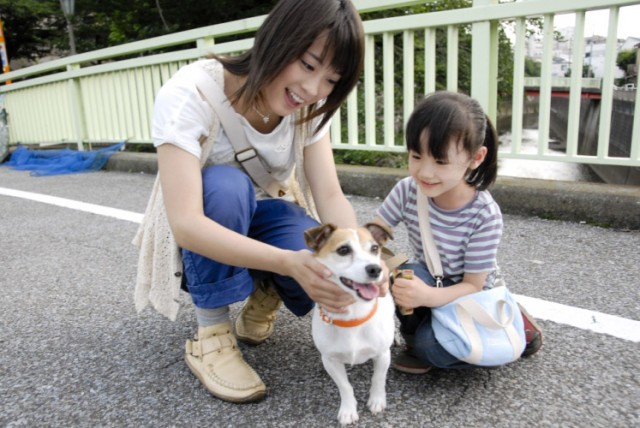 Happy Together: All About My Dog Fotoğrafı