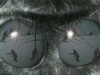 Spiders 3d fotoğrafı